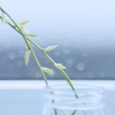 了不起的修仙模拟器手机移植版下载